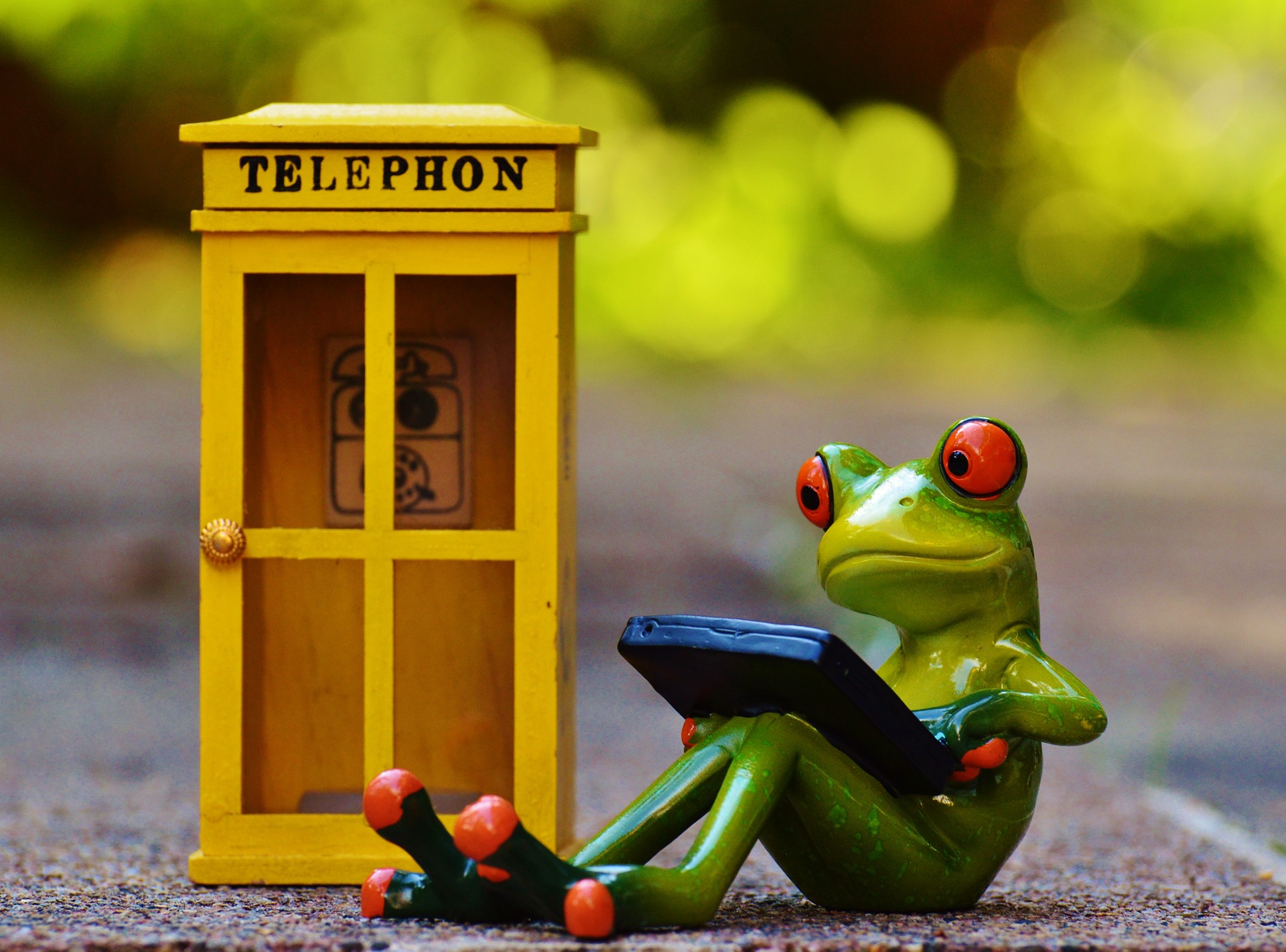 Frog using the phone